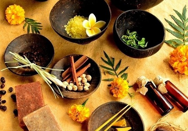 Thuốc ho từ dược liệu có thật sự an toàn?