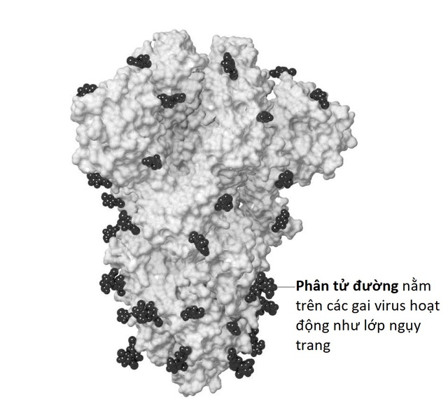 Virus SARS-CoV-2 nguy hiểm hơn nhiều theo khám phá mới