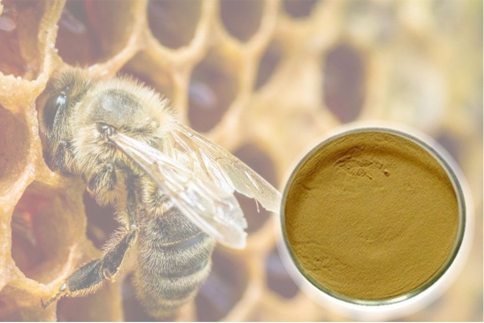 Keo ong propolis M.E.D – Khác biệt chiết xuất độc quyền sáng chế từ Italy